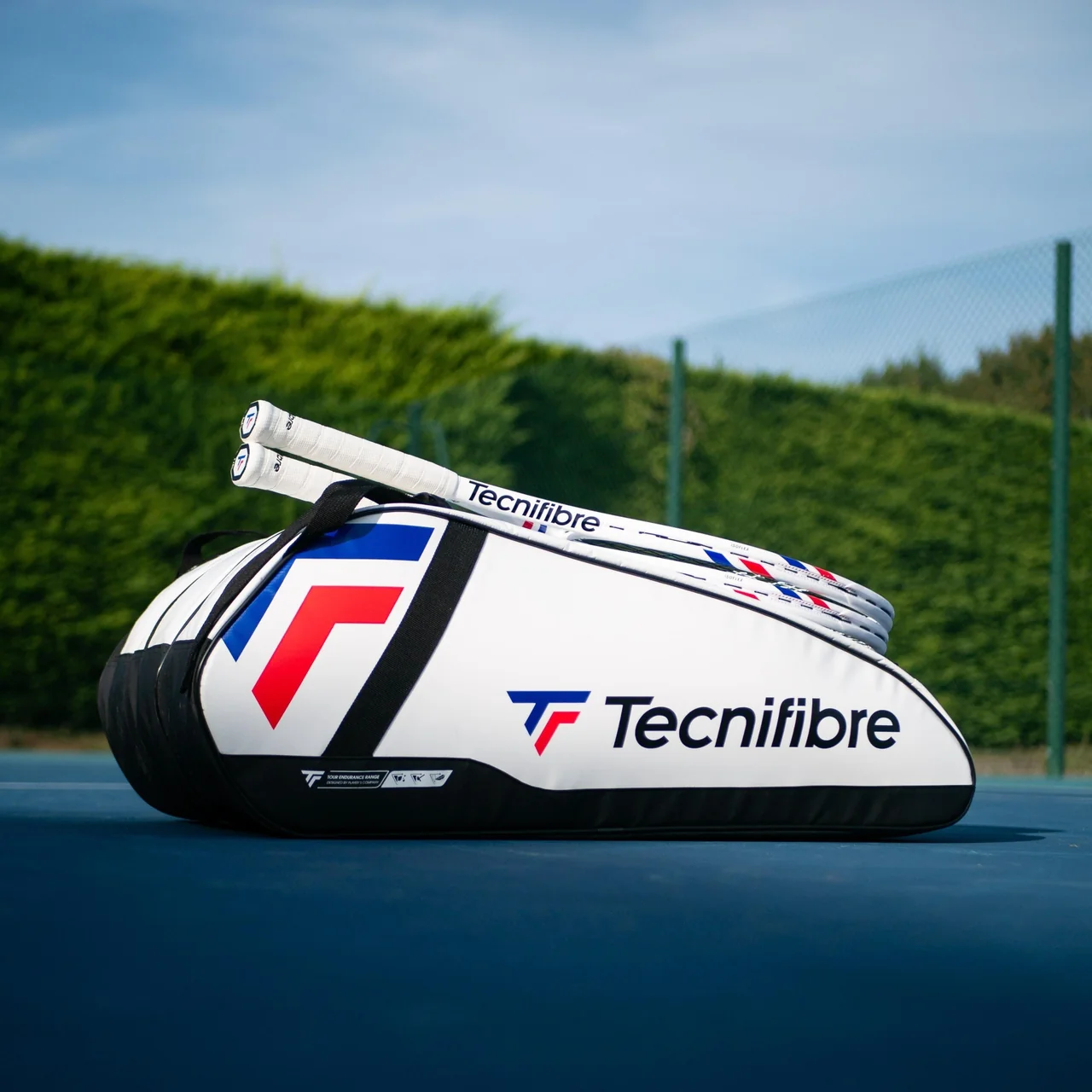 Tecnifibre Tour Endurance 6R