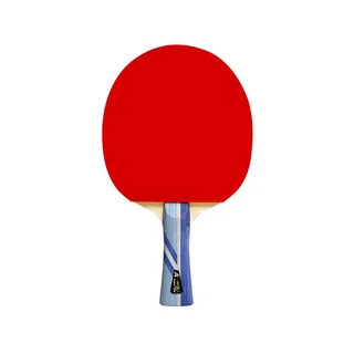 Double Fish Table Tennis Racket 3A+