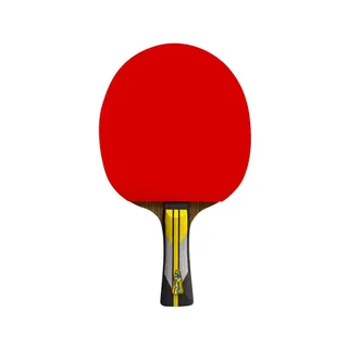 Double Fish Table Tennis Racket 6A+
