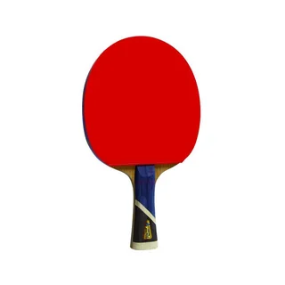 Double Fish Table Tennis Racket 5A+