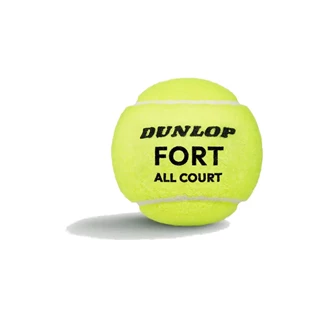 Dunlop Fort All Court 3 Buizen