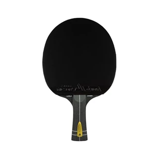 Joola Infinity Carbon