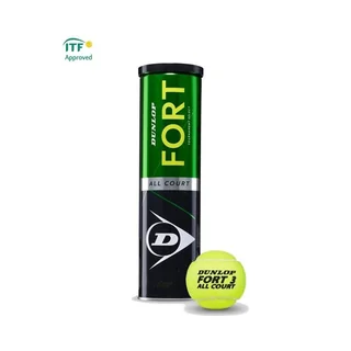 Dunlop Fort All Court 1 tube
