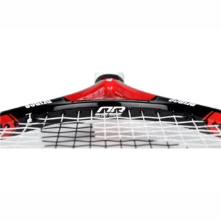 Prince Warrior 100 ESP